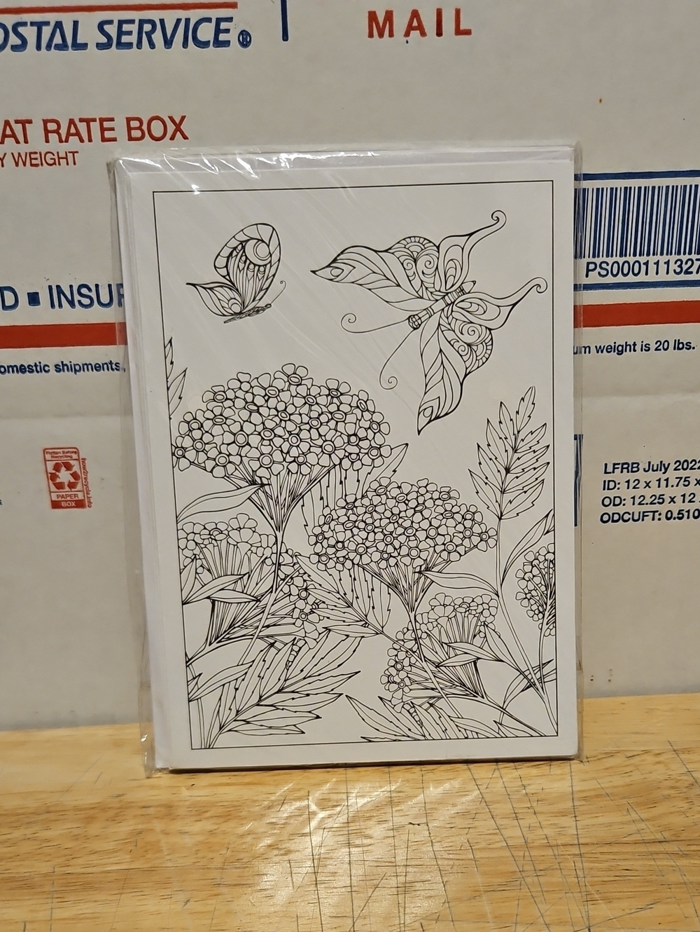 Blank Floral Coloring Print Set – Black & White Botanical Art